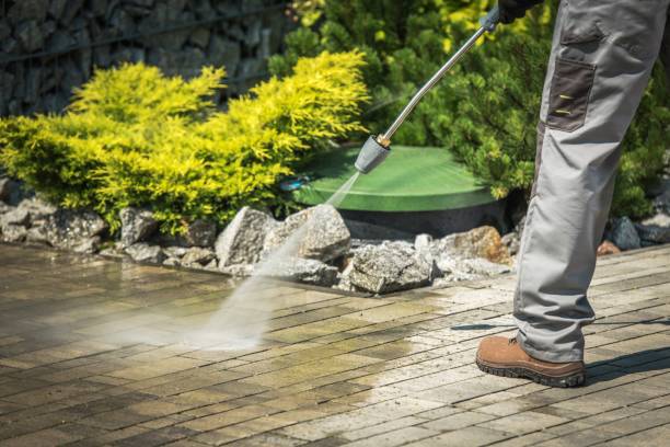 Best Soft Washing for Delicate Surfaces in West Union, OH